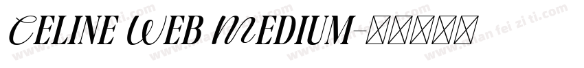Celine Web Medium字体转换